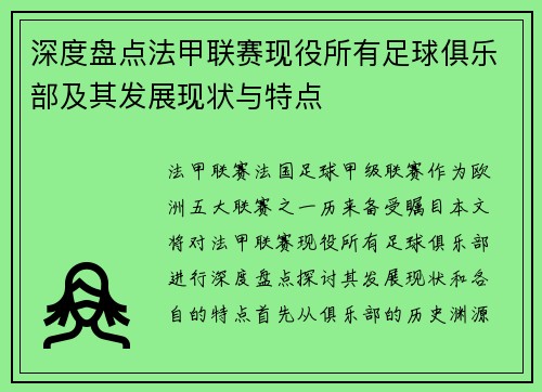 深度盘点法甲联赛现役所有足球俱乐部及其发展现状与特点