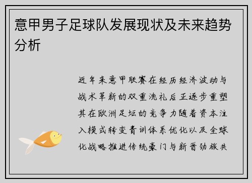 意甲男子足球队发展现状及未来趋势分析