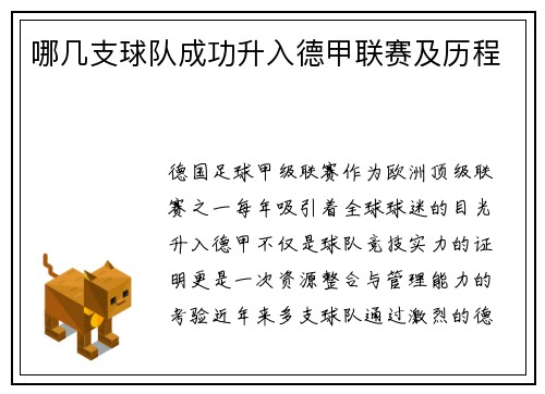 哪几支球队成功升入德甲联赛及历程